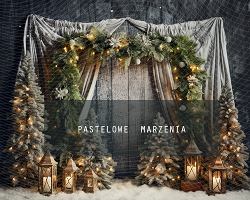 Fabric photographic backdrop from the Christmas category, Frame 250x200 cm