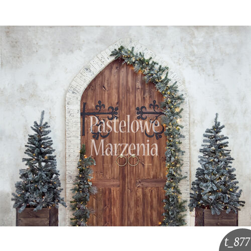 Photographic backdrop for Christmas with brown doors t_877