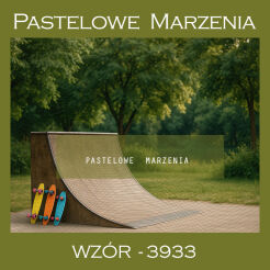 Photographic backdrop from teenager category with ramp t_3933