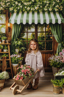 Spring photographic background with doors t_4688 - 6