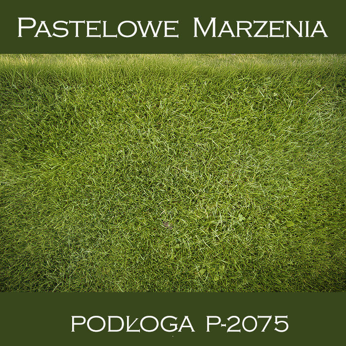 Vinyl photographic background, grass p_2075