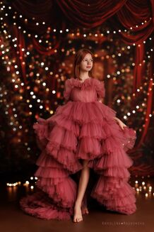 Christmas Photography Background with Christmas Trees t_4208 - 4