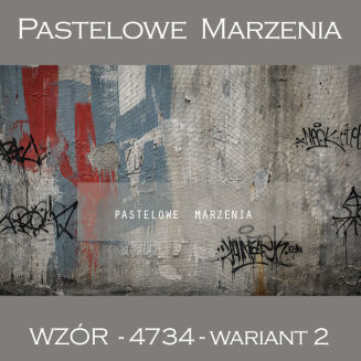 School photographic background with wall t_4734 - 2