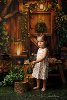 Photographic backdrop for school with vine t_2995 - 4