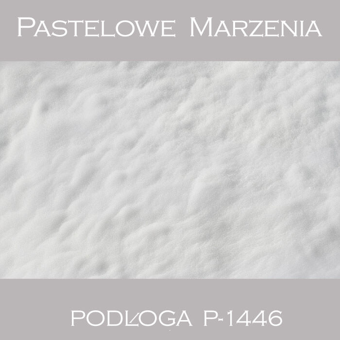Photographic vinyl backdrop, snow p_1446