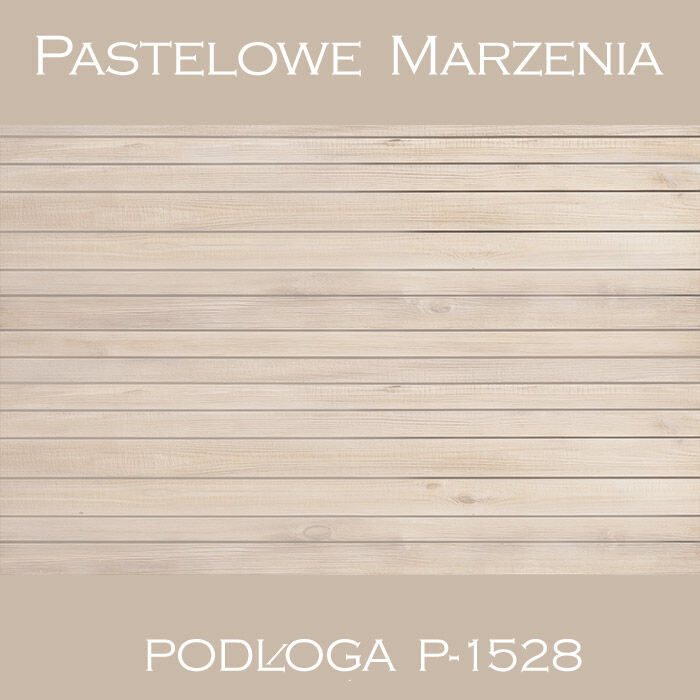 Vinyl photographic background, boards p_1528