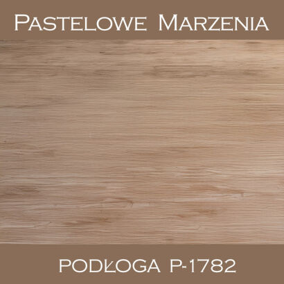 Vinyl photographic background, boards p_1782