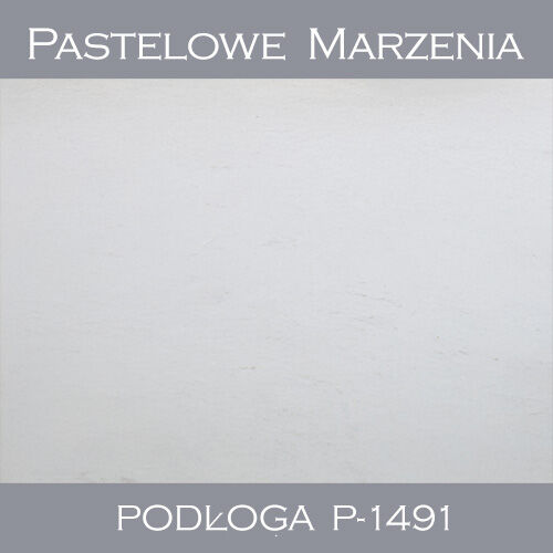 Tło fotograficzne winylowe, śnieg p_1491
