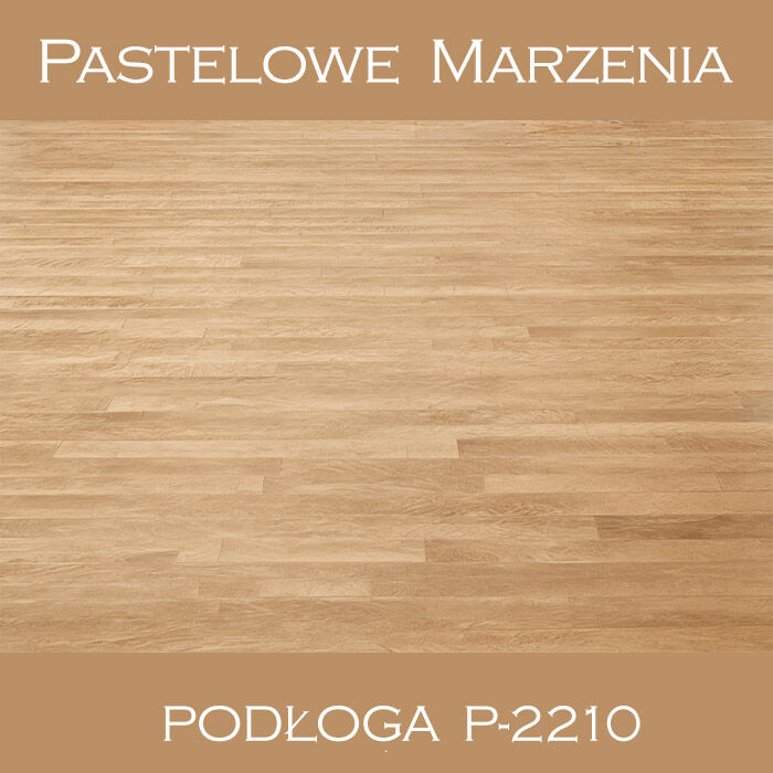 Vinyl photographic background, boards p_2210