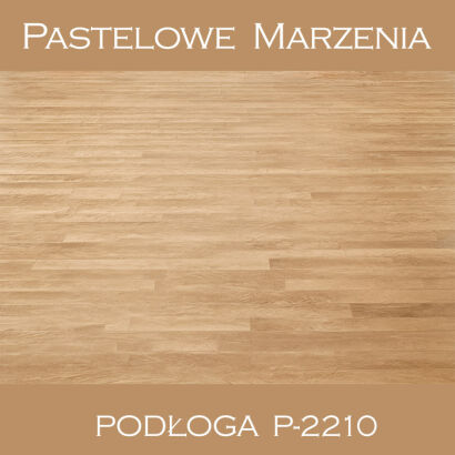 Vinyl photographic background, boards p_2210