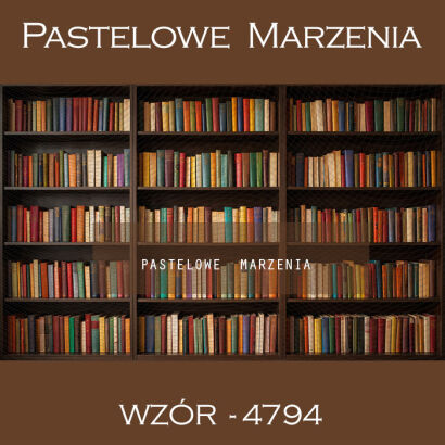 Tło fotograficzne szkolne z biblioteką t_4794