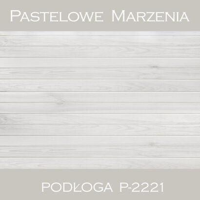 Vinyl photographic background, boards p_2221