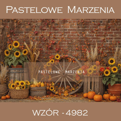 Autumn photographic background with sunflowers t_4982