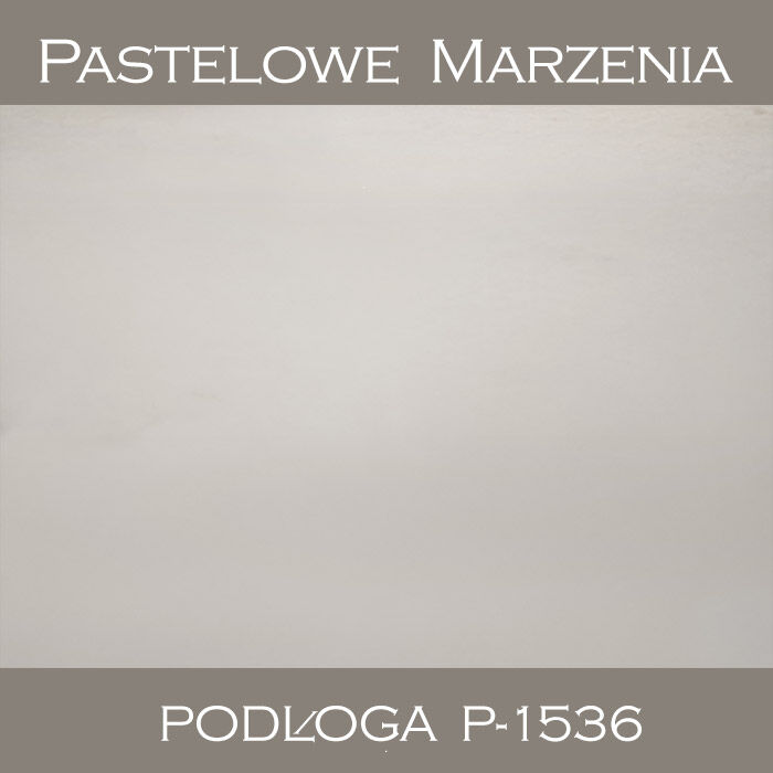 Vinyl photographic background, snow p_1536