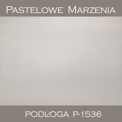 Vinyl photographic background, snow p_1536