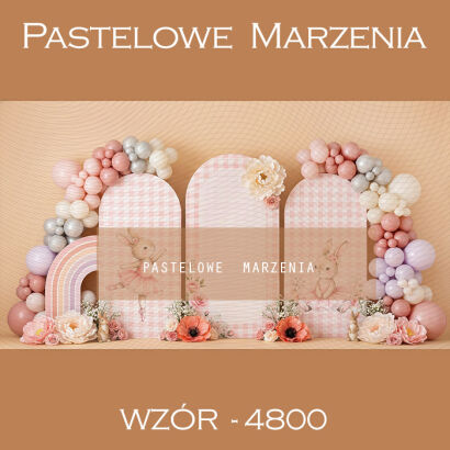 Birthday photographic background with balloons t_4800