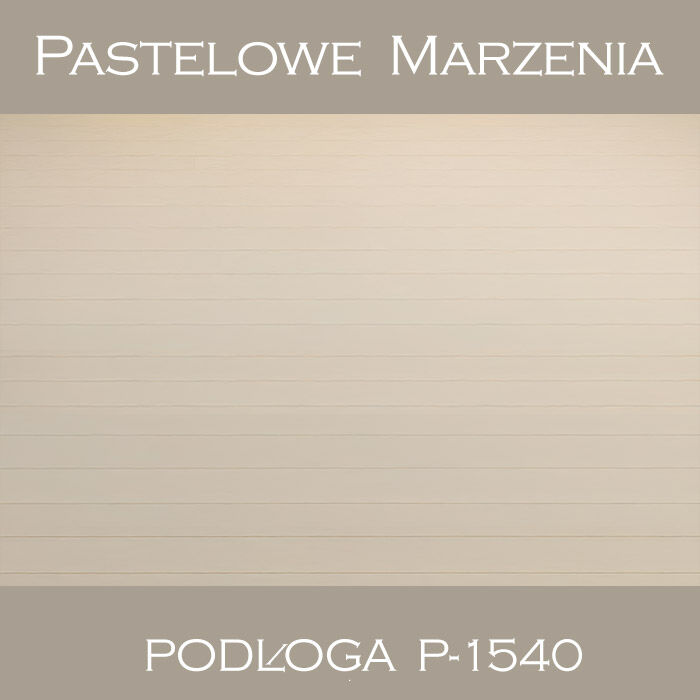 Vinyl photographic background, boards p_1540