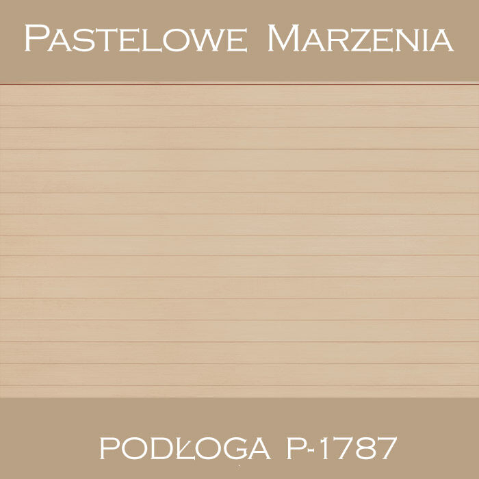 Vinyl photographic background, boards p_1787