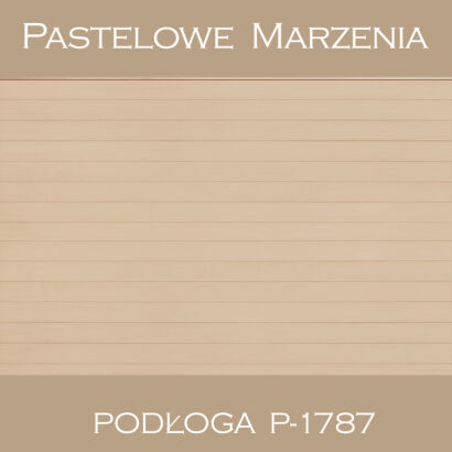 Vinyl photographic background, boards p_1787