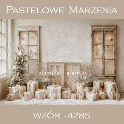 Tło fotograficzne na Boże Narodzenie z regałami t_4285