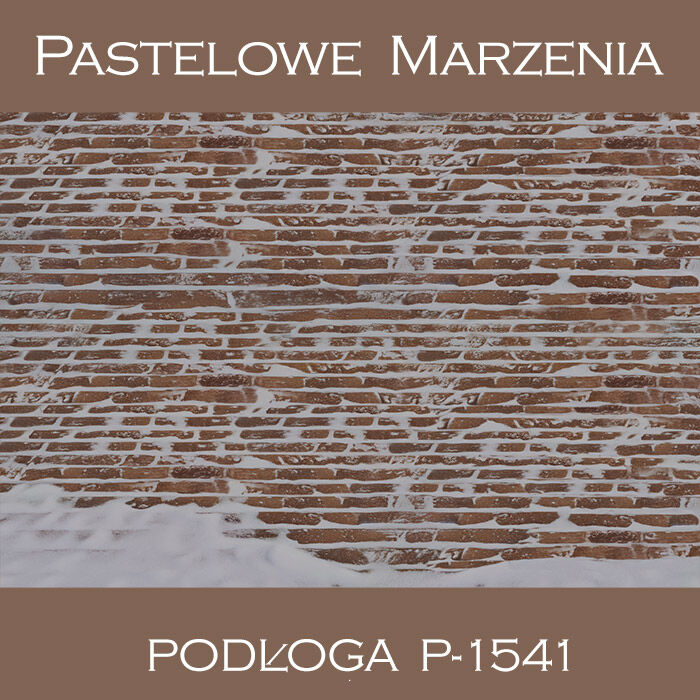 Tło fotograficzne winylowe, chodnik p_1541