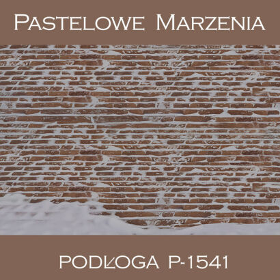 Tło fotograficzne winylowe, chodnik p_1541