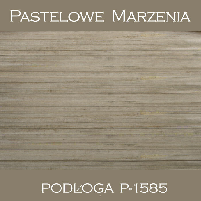 Vinyl photographic background, boards p_1585