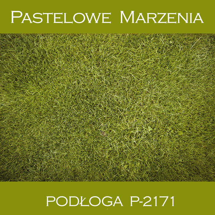 Vinyl photographic background, grass p_2171