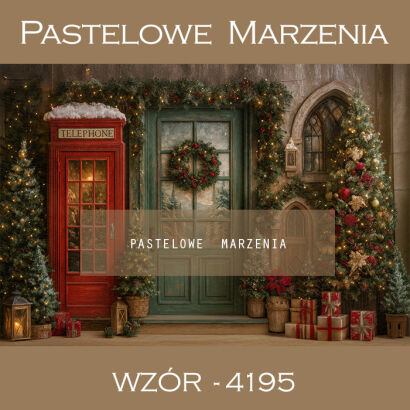 Tło fotograficzne zimowe wnętrze t_4195