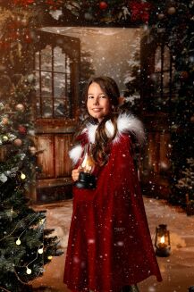 Photographic backdrop for Christmas with doors t_3166 - 4