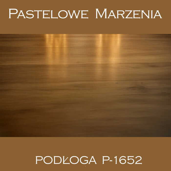 Vinyl photographic background, boards p_1652