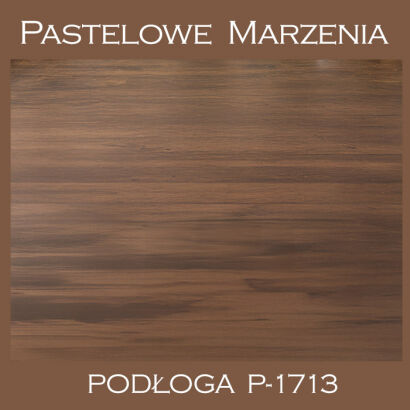Vinyl photographic background, boards p_1713