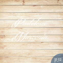 Photographic background