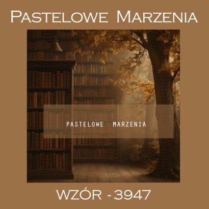 Tło fotograficzne z kategorii wnętrza z biblioteką t_3947