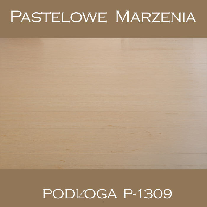 Tło fotograficzne winylowe, deski p_1309