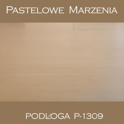 Tło fotograficzne winylowe, deski p_1309
