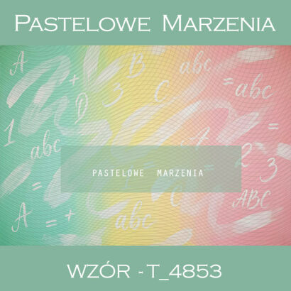 Tło fotograficzne szkolne z ścianą t_4853