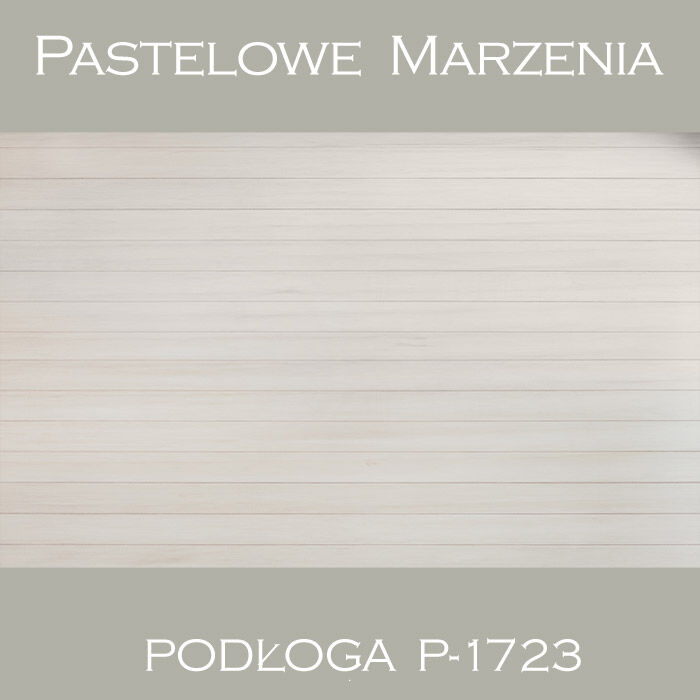 Vinyl photographic background, boards p_1723