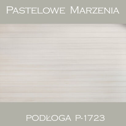 Vinyl photographic background, boards p_1723