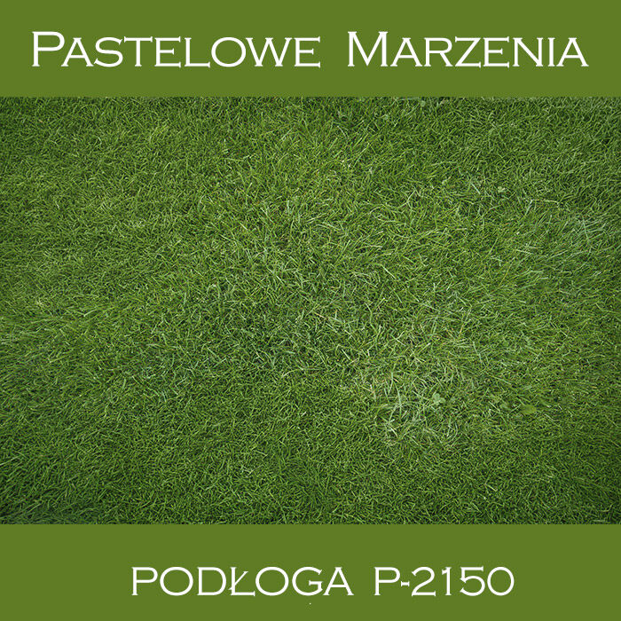 Tło fotograficzne winylowe, trawa p_2150