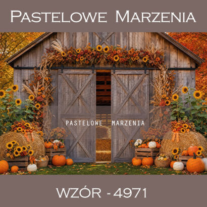 Autumn photographic background with sunflowers t_4971
