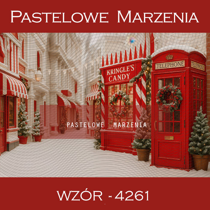 Tło fotograficzne na Boże Narodzenie z ulicą t_4261