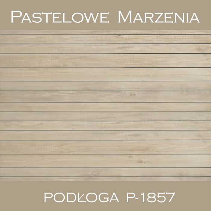 Vinyl photographic background, boards p_1857
