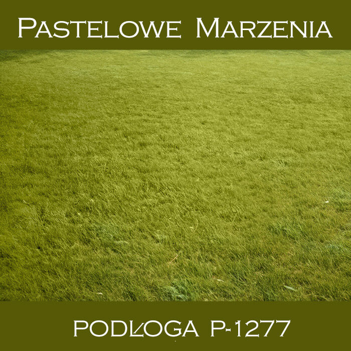 Tło fotograficzne winylowe, trawa p_1277