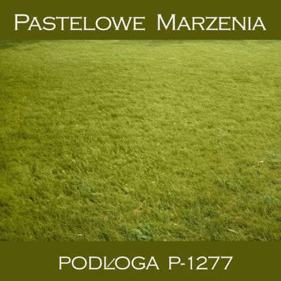Photographic vinyl backdrop, grass p_1277