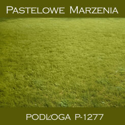 Photographic vinyl backdrop, grass p_1277
