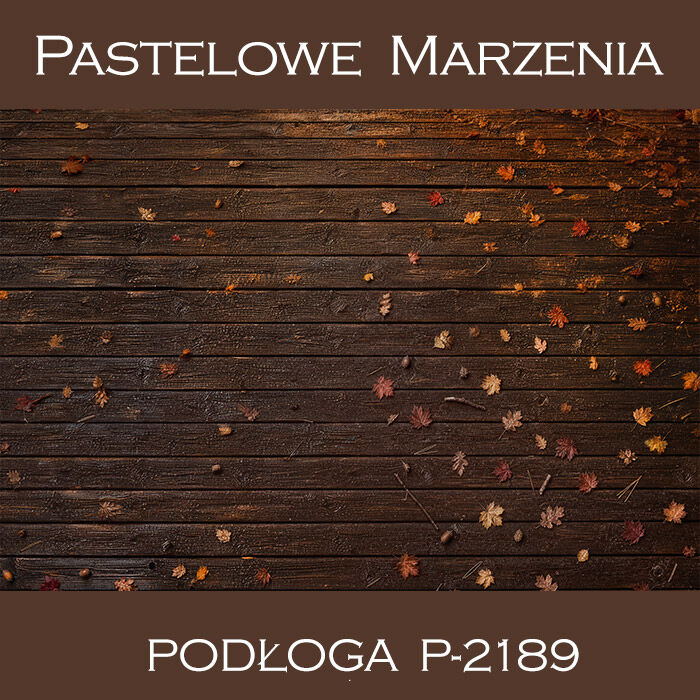 Vinyl photographic background, boards p_2189