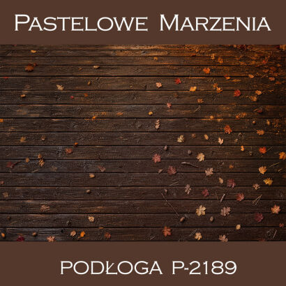 Vinyl photographic background, boards p_2189