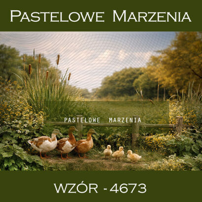 Tło fotograficzne letnie z kaczkami t_4673