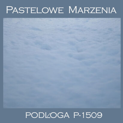 Vinyl photographic background, snow p_1509